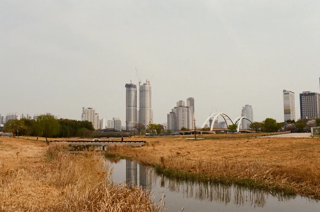 Film photograph, Korea, South Korea