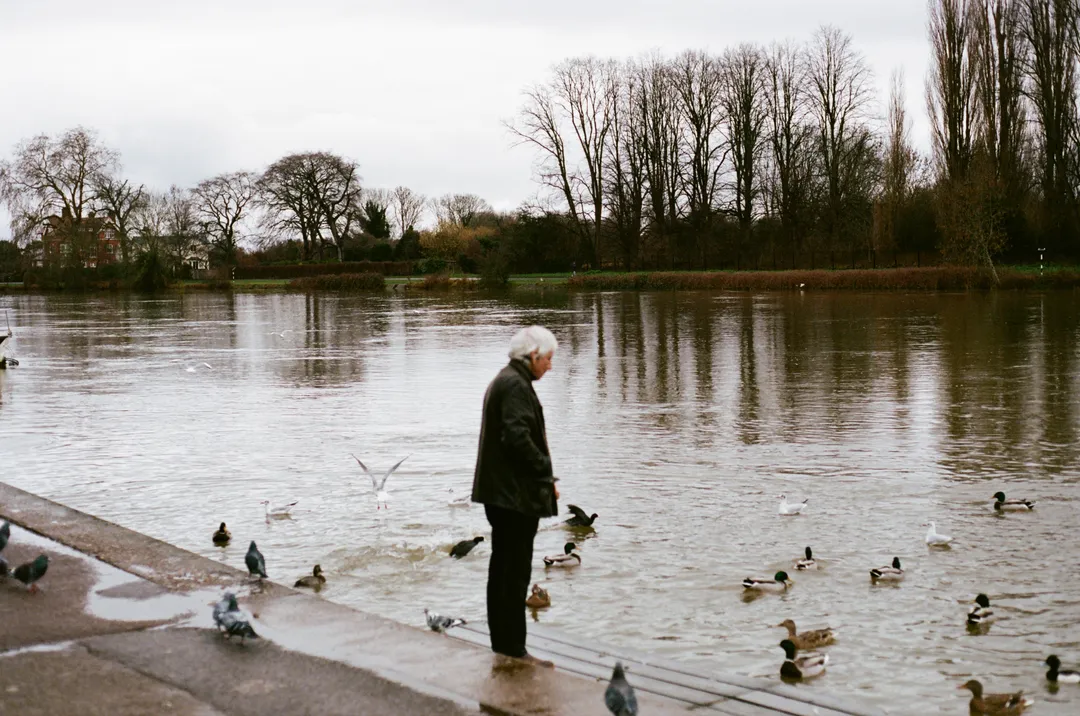 Film photograph, Richmond, London
